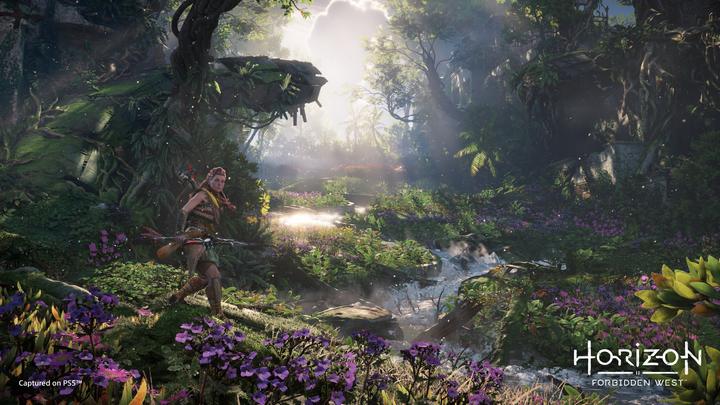 Immagine prodotto Sony Horizon: Forbidden West Standard Multilingua PlayStation 4 (PS4, FR)