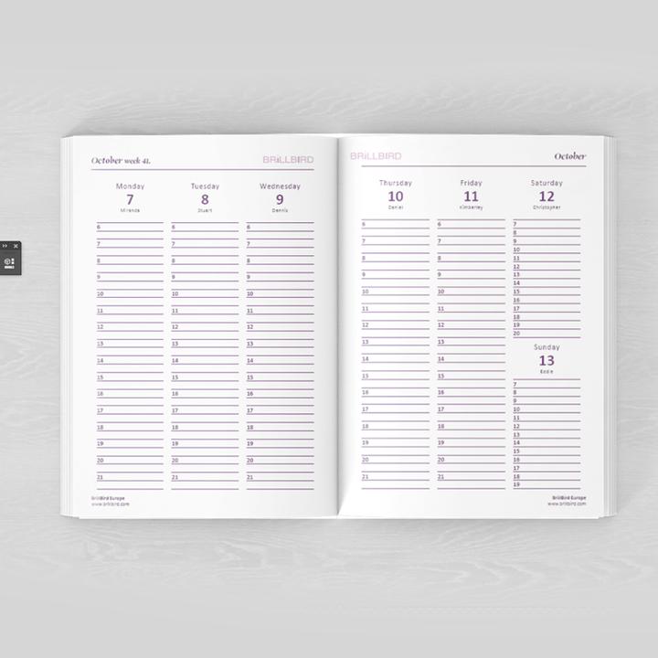Image du produit BrillBird Calendrier Agenda anglais 2025 (Anglais)