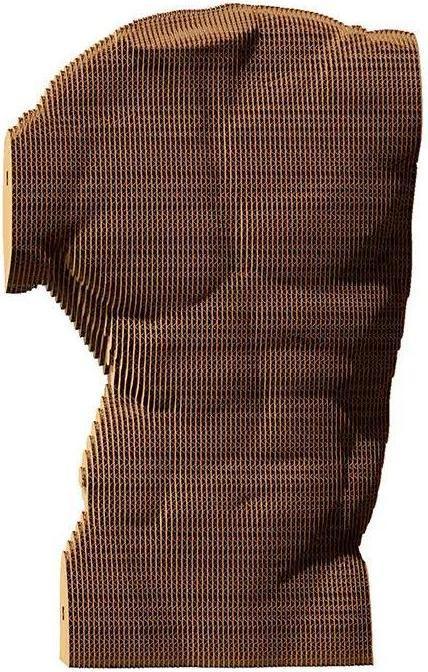 Actual product image Cartonic Male torso