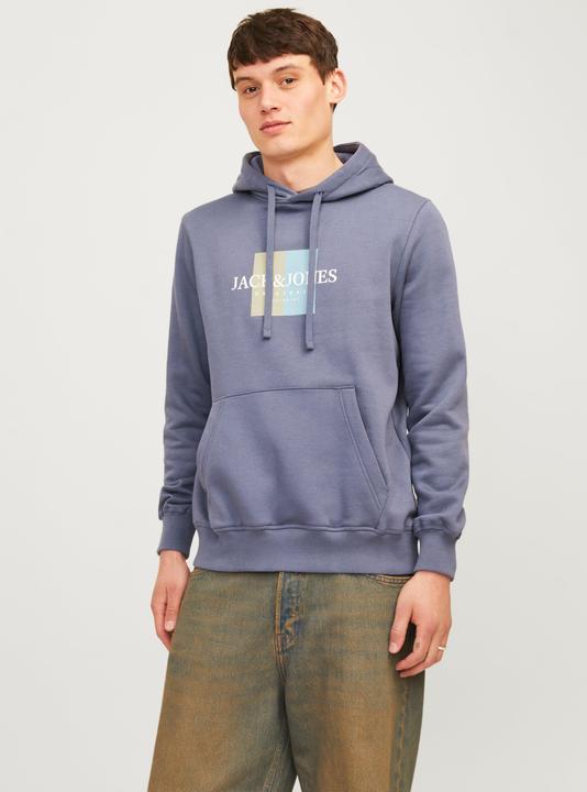 Actual product image Jack & Jones Jorfrederiksberg Box Sweat Hood Sn (XS)