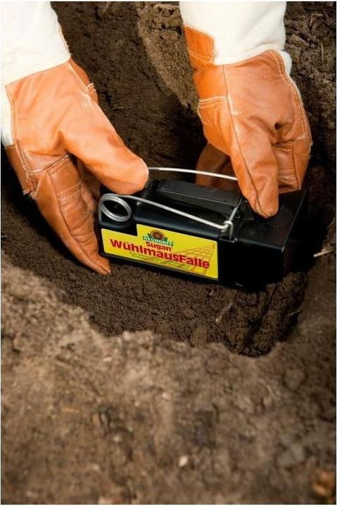 Actual product image Neudorff Vole catcher