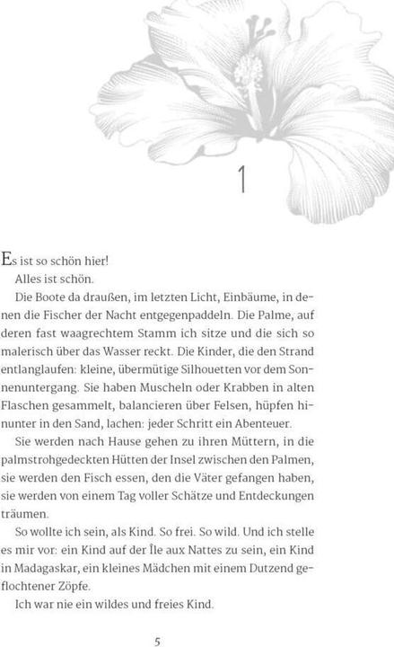 Actual product image Weil wir träumten (German, Antonia Michaelis, Ria Raven, 2022)