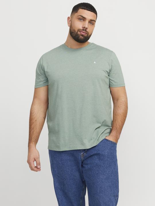 Produktbild Jack & Jones Jjepaulos Tee Ss Crew Neck Noos Pls (6XL)