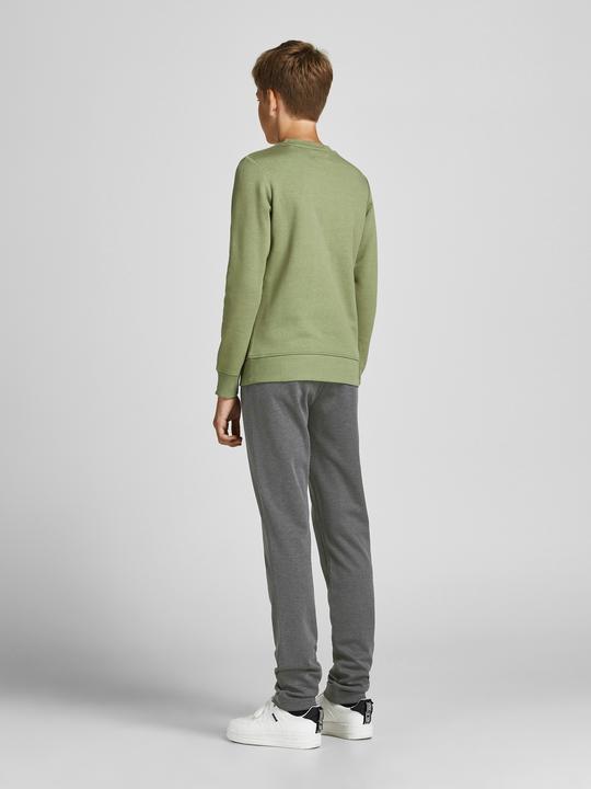 Image du produit Jack & Jones Jungs Vega Trash Hose (140)