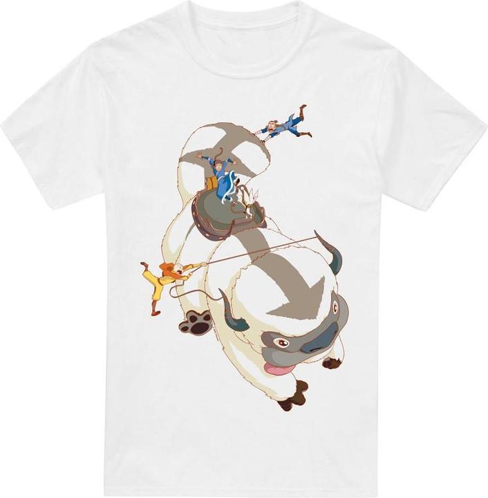 Produktbild Avatar: The Last Airbender Hang On TShirt (L)
