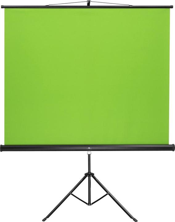 Actual product image Maclean Stand Green screen on parking lot, 92", 150x180cm, adjustable height, MC-931 (92", 4:3)