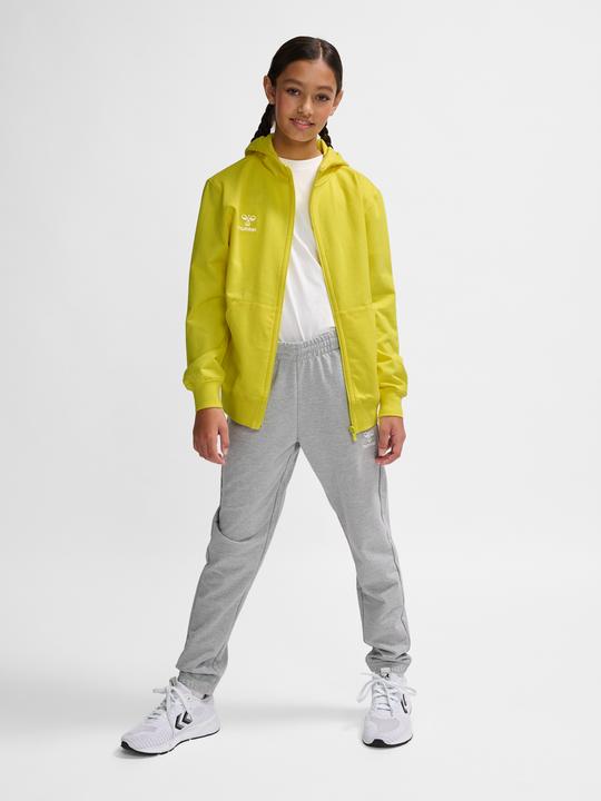 Actual product image hummel Hmlgo 2.0 Zip Hoodie Kids (164)