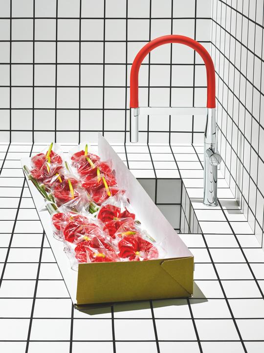 Actual product image Grohe GROHFlexx kitchen hose spout