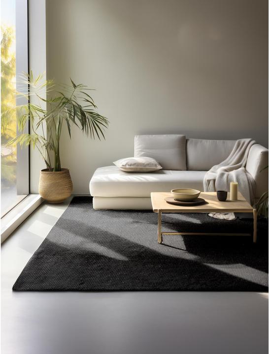 Immagine prodotto Hanse Home Jaipur (160 x 230 cm)