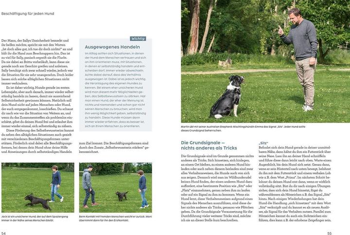 Produktbild Kosmos Hunde beschäftigen mit Martin Rütter (Deutsch, Martin Rütter, Andrea Buisman, 2022)