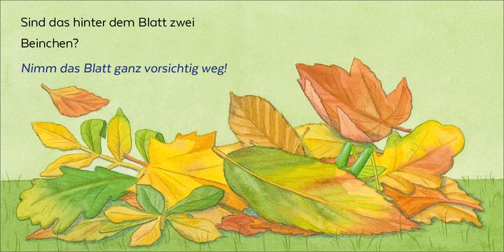 Actual product image Brosche:Wer hat sich denn hier versteck (German, Heidemarie Brooch, Mele Brink, 2025)