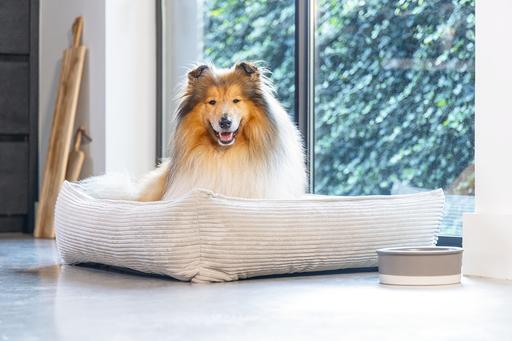 Produktbild Designed by Lotte Ribbed (Hund)