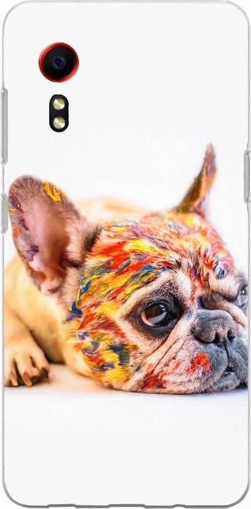 Bulldog coloured