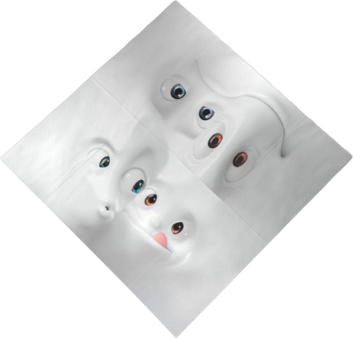 Actual product image 58 Products Gesichtsgulasch (20 x, 33 x 33 cm)