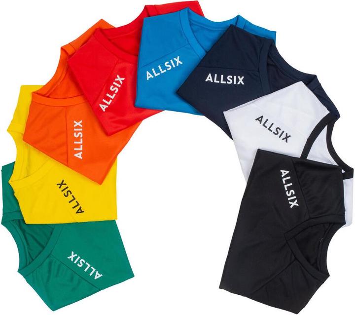 Produktbild Allsix vts100 309567 (10, 11)
