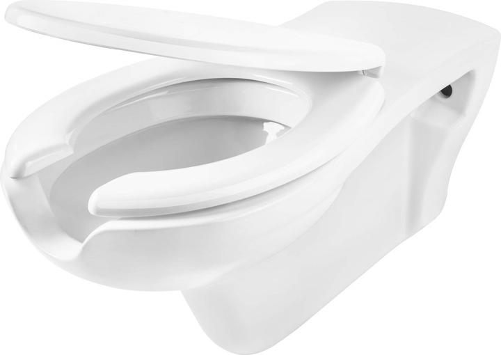 Deante Toilettenschüssel mit Sitz für Personen mit eingeschränkter Mobilität (Toilette)