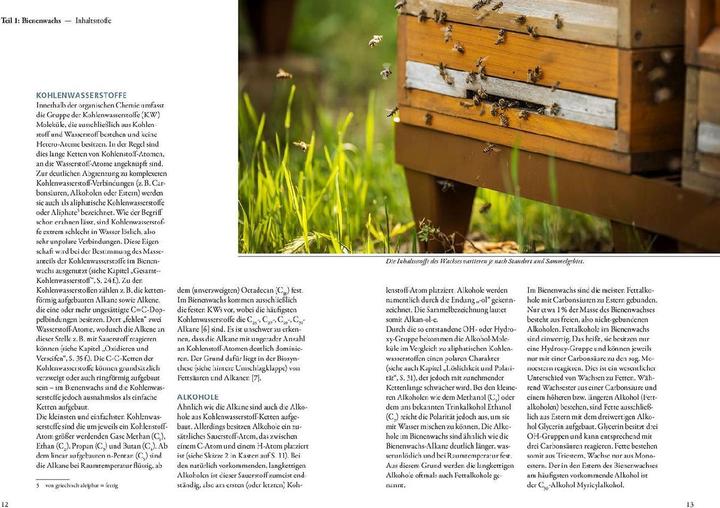 Produktbild Kosmos Bienenwachs und Wachskreislauf (Deutsch, Matthias Schlörholz, 2023)