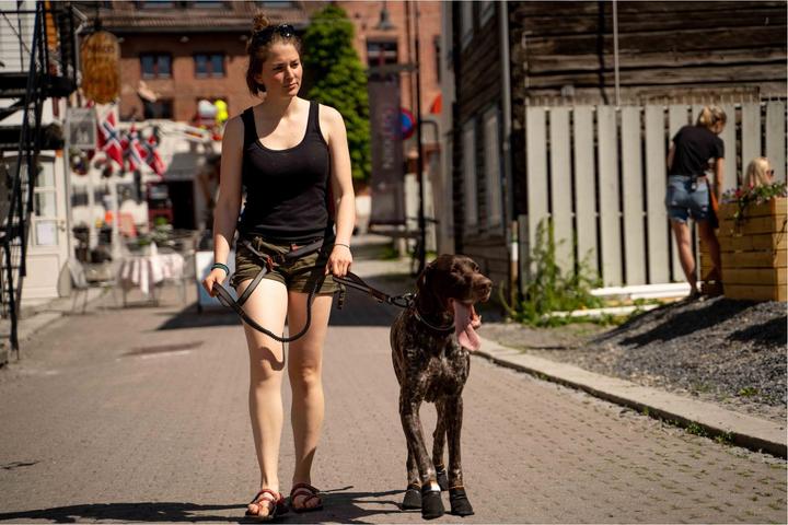 Actual product image Non-Stop Dogwear Protector (M, Dog boots)