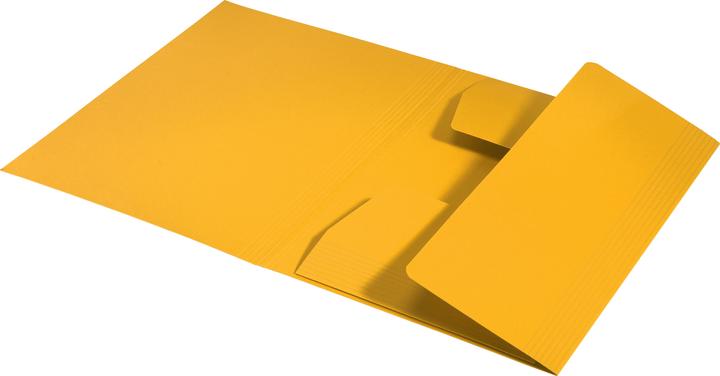 Actual product image Leitz Inlay Folder Juris Folder A4 Yellow (A4, 1 x)
