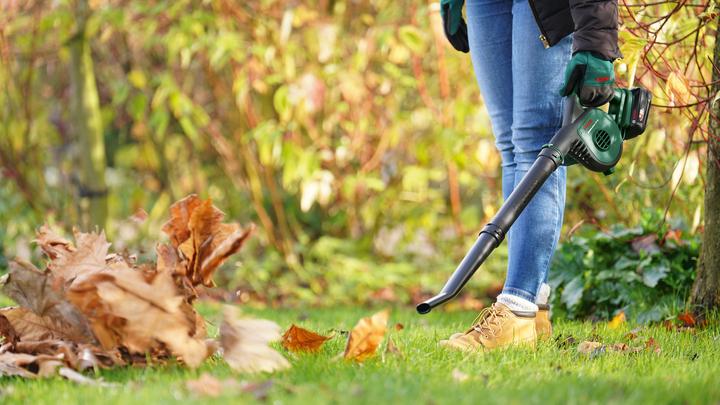 Actual product image Bosch Home & Garden Universal (Rechargeable battery operated, Leaf blower)