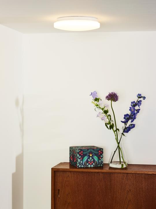 Actual product image Lucide Otis (1600 lm)