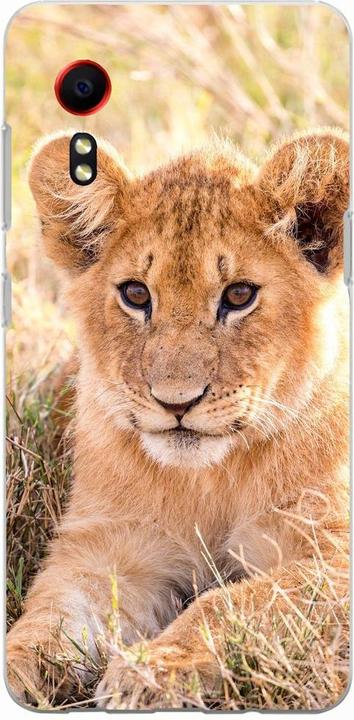 Lions baby