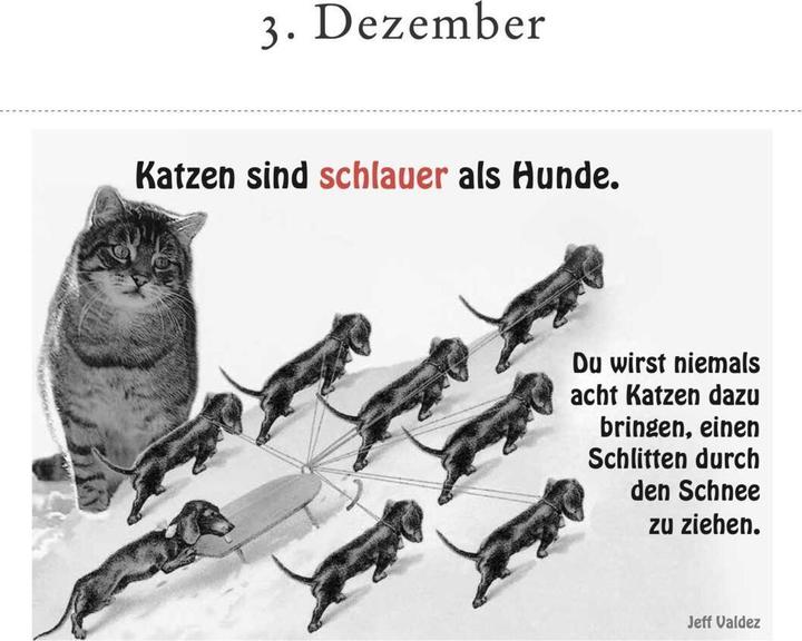 Produktbild Der literarische Katzen