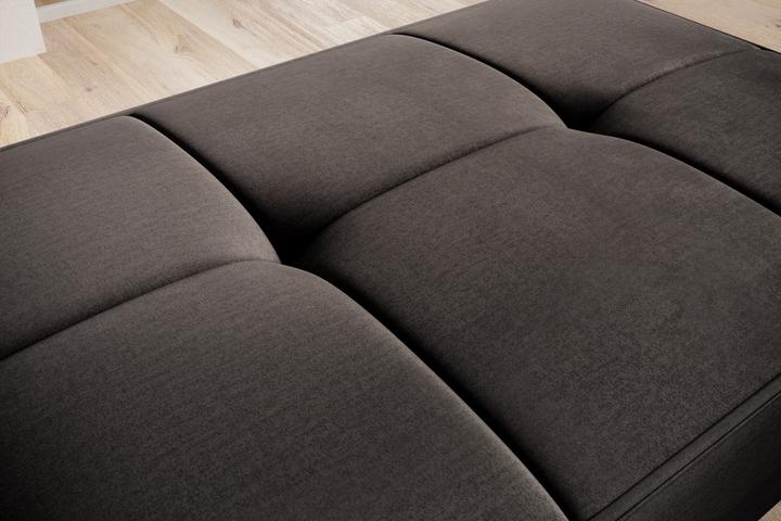 Actual product image ELTAP Bellis