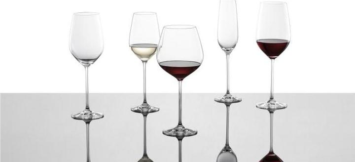 Actual product image Schott Zwiesel Fortissimo champagne glass (24 cl, 4 Glasses, Champagne glasses)