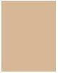 Actual product image MAC Cosmetics Pro Longwear Concealer (NC35)