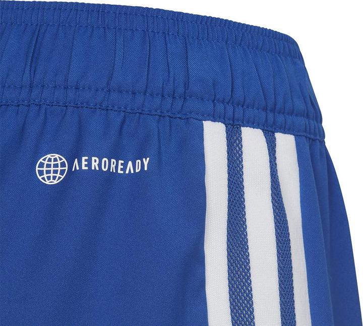 Actual product image adidas Tiro 23 Competition Match training shorts kids (140)