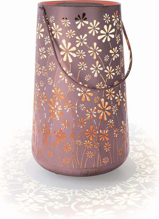 Image du produit STT Daisy