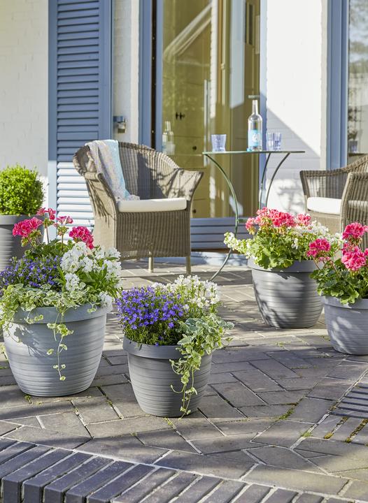 Produktbild Scheurich Country Star (24 cm)