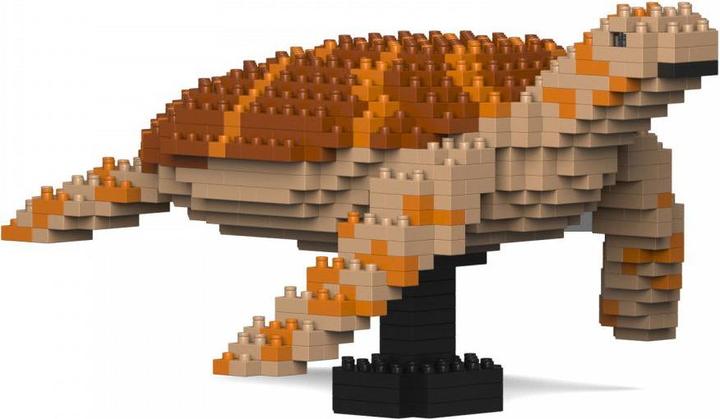 Jekca Limited Tortue