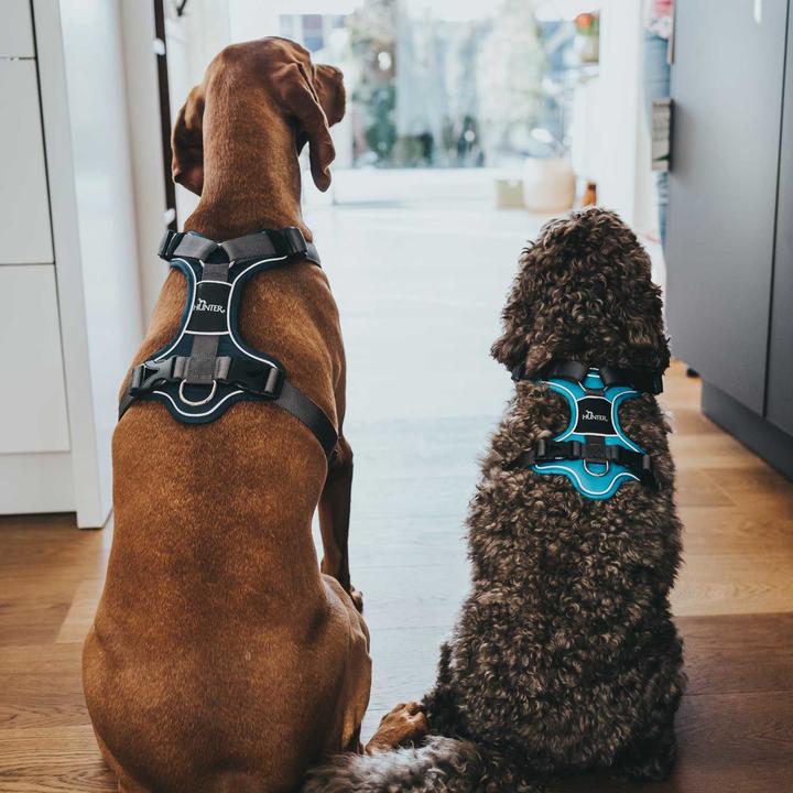 Produktbild Hunter Geschirr Divo (L, Hund, Allgemein)