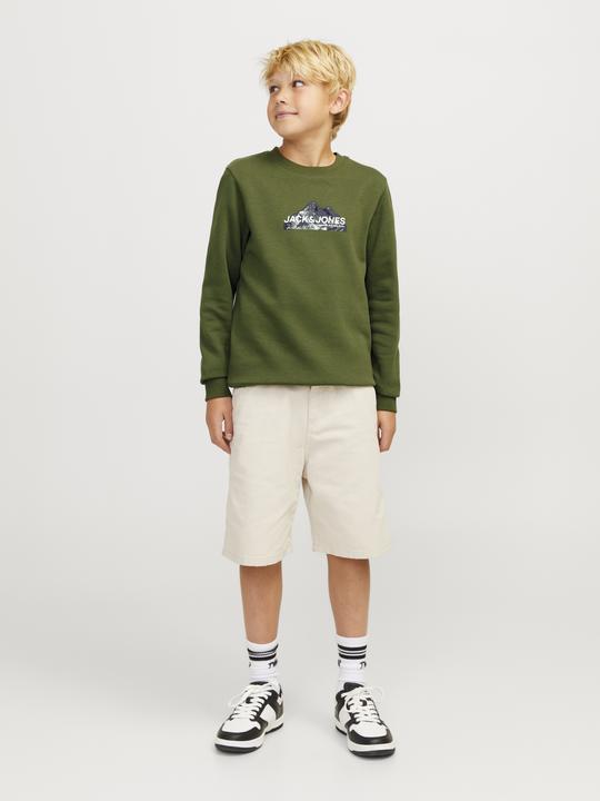 Actual product image Jack & Jones Jcomountain Logo Sweat Crew Neck Sn Jnr (128)