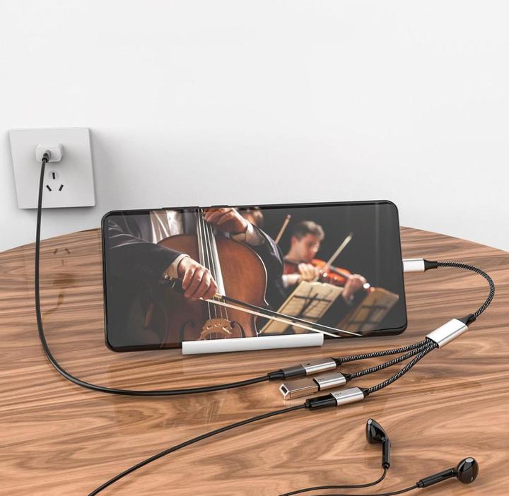 Produktbild Apfelkiste USB C auf 3x USB C Adapter Ladekabel OTG Nylon Datenkabel 60W (USB-C, 4 Ports)