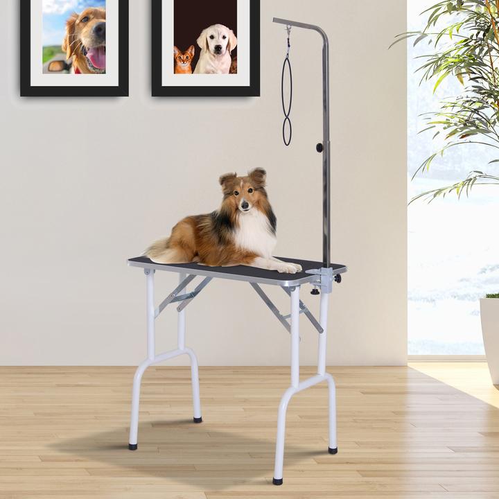 Produktbild PawHut Trimmtisch klappbar (Hund)