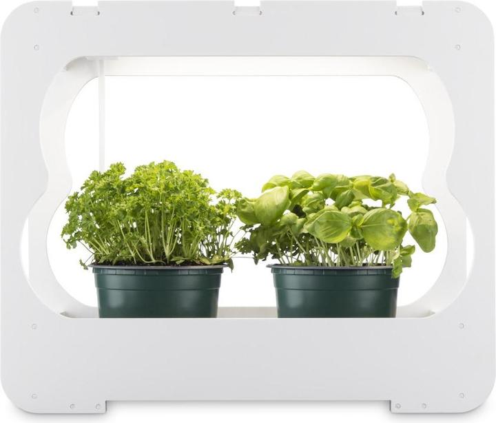 Image du produit Xavax Gewächsstation mit LED-Pflanzenlampe, ca. 3 Töpfe Ø 10 cm, Vollspektrum-LED (LED)