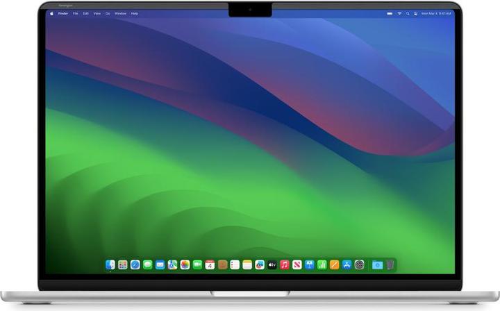 Actual product image Belkin Removable Privacy Screen Protect (15.31")