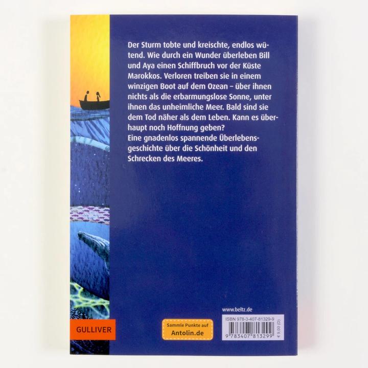 Image du produit Allein auf dem Meer (Allemand, Chris Vick, Andrea Wandel, Wieland ami, 2023)