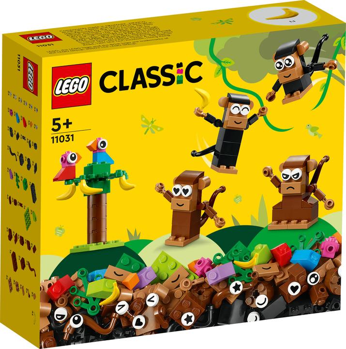 Actual product image LEGO Divertimento creativo - Scimmie (11031, LEGO Classic)