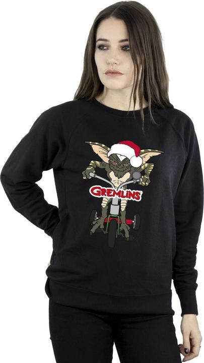 Image du produit Universal Textiles - Sweat BIKE LOGO - Femme (S)