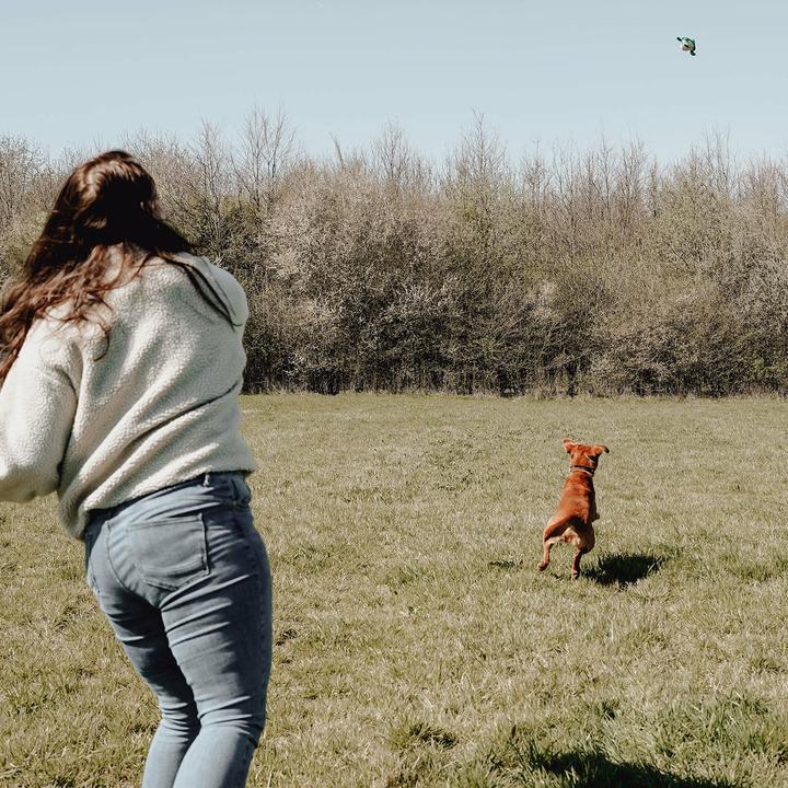 Produktbild Hunter Flingerz Splash (Kauspielzeug Hund, Apportieren)