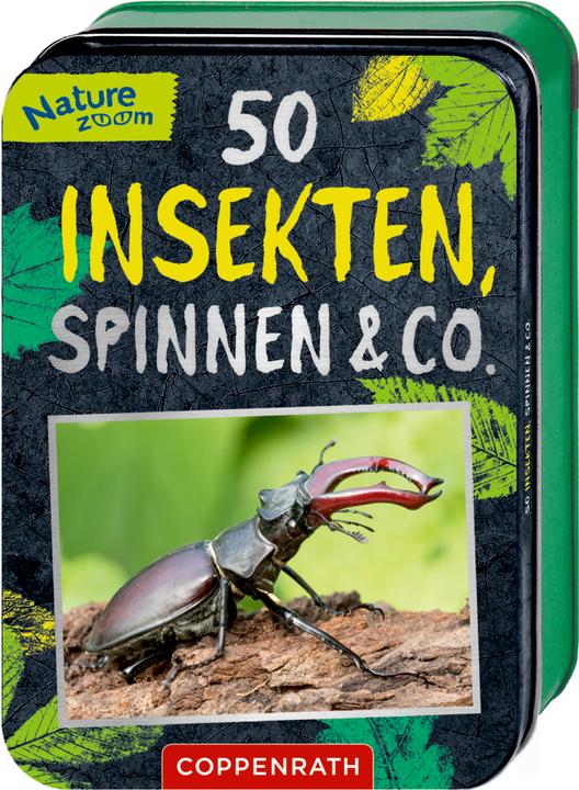 Produktbild Die Spiegelburg 50 Insekten, Spinnen & Co.