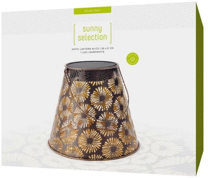 Actual product image STT Antic Alice