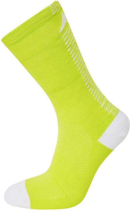 Actual product image Altura Icon 2022 (M)