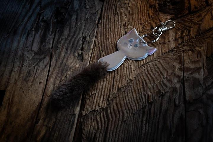Immagine prodotto Softreflector Riflettore a sospensione gatto Albert
