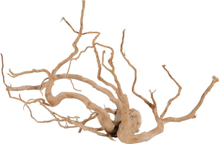 Actual product image Zolux japanese root spider wood jumbo (Basics, other items)