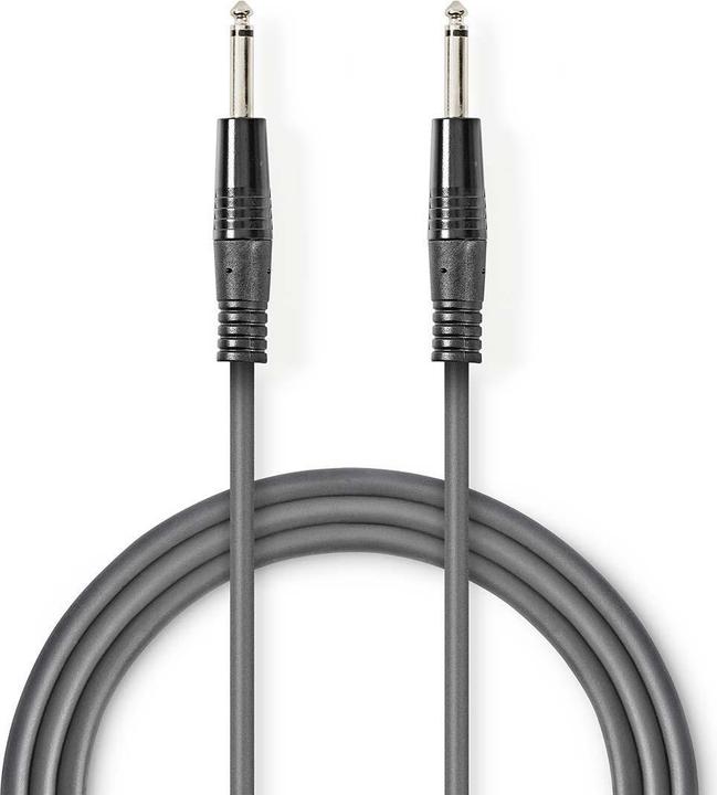 Image du produit Nedis Câble audio mono | 6,35 mm mâle | 6,35 mm mâle | Nickelé | 1,50 m | rond | PVC (1.50 m)